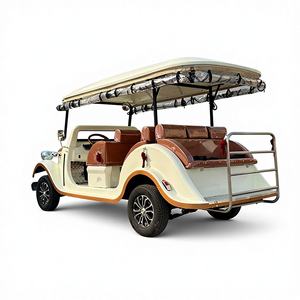 Golf Cart Elettrico Retrò Omologato per Strada, 8 Posti, Certificato CE, Classico per Turismo e Visite Guidate, Prezzo di Fabbrica, Vendita Diretta - Product Image 2