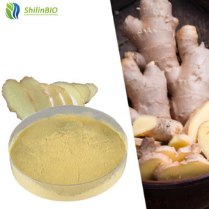 Extracto de Raíz de Jengibre Soluble en Agua 10% 98% 99% en Polvo, Grado Alimenticio, Extracto Herbal, Envasado al Vacío en Tambor - Product Image 1