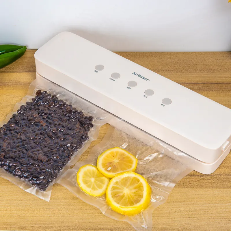 Scelleuses sous vide automatiques pour aliments Mini Machine de conservation sous vide domestique Scelleuse sous vide électrique