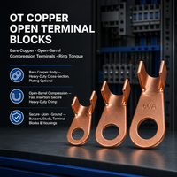 Oeillets à extrémité ouverte Cosses de borne à sertir Connecteurs de câble de batterie à anneau de cuivre électrique