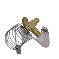 Vanne d'expansion thermique R404A R507 en laiton pour système de réfrigération de chambre froide, contrôle de l'unité de condensation, compatible avec les systèmes de projets