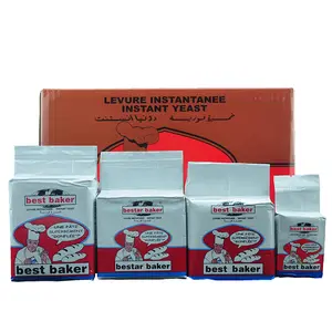 Instant dry yeast baking brand and OEM in top sales