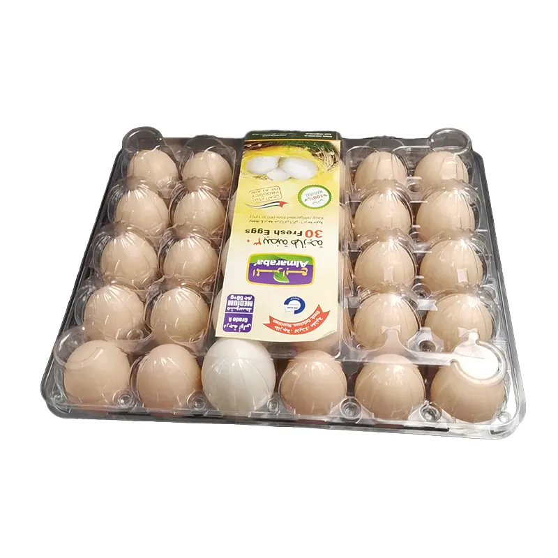 맞춤형 일회용 30 구멍 투명 PET 플라스틱 계란 상자 트레이