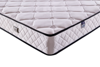 Matelas en mousse à mémoire de forme, matelas à ressorts ensachés, coussin moelleux pour hôtel, appartement, matelas compressé en boîte