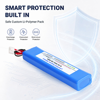 Paket Baterai Isi Ulang LiFePO4 6.4V 6000mAh 2S 38.4Wh Kapasitas Tinggi untuk Lampu Keamanan Tenaga Surya & Cadangan Darurat
