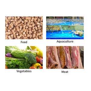 عربة تصدير احترافية من الفولاذ المقاوم للصدأ قابلة للتخصيص/سيارة لتخطي اللحوم لمصنع المخابز والتوابل - Product Image 5