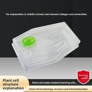 식물 세포 모델 32358 형태학 구조 상호관계 잎 생물학 교육용 기구(32x23x5cm 크기) - Product Image 3