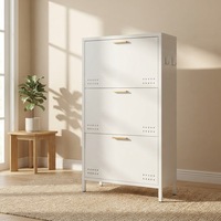 Meuble à chaussures en acier, étagère de rangement pour chaussures, armoire à chaussures domestique, meuble de rangement métallique pour chaussures