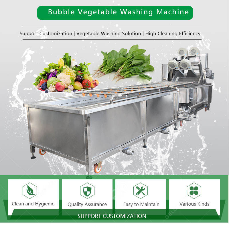 Factory Price Palm Dates Wash and Drying Machine - Efficient Vegetable ...