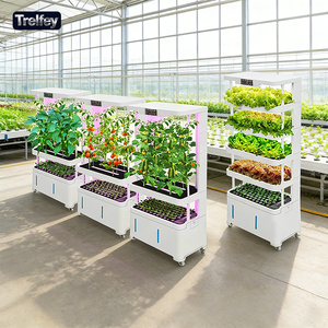 Sistema Hidropónico Modular y Expandible para Jardín Inteligente con Control por Capas Separadas para Uso Doméstico Flexible - Product Image 1