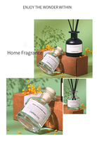 Diffuseur de parfum à roseaux liquide parfumé Augeo Base, céramique de haute qualité, aromathérapie, unique, transparent, 120 ml