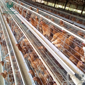 Nuevo diseño libre duradero Nepal Angola Kenia granja avícola acero galvanizado puesta <span class=keywords><strong>de</strong></span> <span class=keywords><strong>huevos</strong></span> <span class=keywords><strong>gallinas</strong></span> comerciales batería pollo capa jaulas - Product Image 3