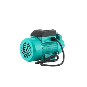 24V DC Electric Single Stage Agricultural Surface Vortex Pumps Low Pressure 24V Outlet for Irrigation Watering Solar Ground Pump