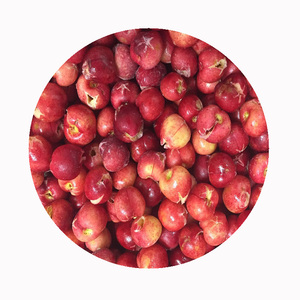 Số lượng lớn đông lạnh anh đào ngọt ngào | lớp một loại trái cây với màu sắc mạnh mẽ và vị ngọt cho người mua toàn cầu - Product Image 3