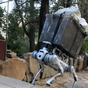 Robot chien patte avion Robot chien avec <span class=keywords><strong>patrouille</strong></span> canine avion chien Robot <span class=keywords><strong>patrouille</strong></span> <span class=keywords><strong>Figurine</strong></span> - Product Image 5