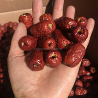 Arabie saoudite dattes pitter palmier date jujube graines machine à enlever prune abricot dénoyautage machine