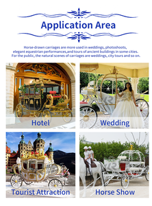 Coche real de lujo a precio de fábrica, coche eléctrico clásico tirado por caballos para City Tours, 4 ruedas - Product Image 6