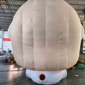 Muñeco de personaje creativo de dibujos animados inflable gigante, decoración de Mascota de celebridad inflable personalizada - Product Image 3