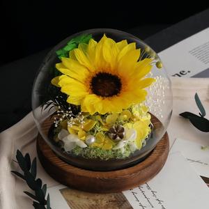 Girasol Preservado Hecho a Mano, <span class=keywords><strong>Serie</strong></span> Eterna de Lujo, Duradero de 3 a 5 Años, Cúpula de Hierba Eterna, Regalo para el Día de San Valentín - Product Image 5