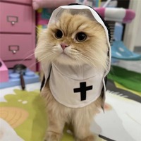 Déguisement de chat mignon pour fête, vêtements de chaton Jésus pour petits et moyens chiens et chats, costumes de cosplay amusants pour animaux de compagnie, accessoire pour chiot