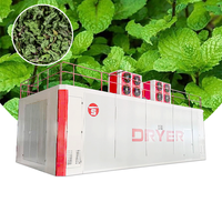 Séchoir à feuilles à bande maillée Mint Leaf, Machine de séchage de feuilles, Séchoir à herbes, Équipement de séchage à bande maillée