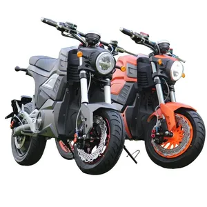와일드 전기 Can-Am 오토바이 2000W 모터