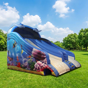 Toboggan aquatique gonflable double piste WINSUN pour adultes et enfants, en PVC, pour usage extérieur dans les parcs aquatiques - Product Image 1