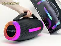Microphone Karaoké Portable Haut-parleur sans fil BT Bass Subwoofer Lecteur Sport pour la maison Cadeau RGB Party TF USB FM MS-3643BT-W