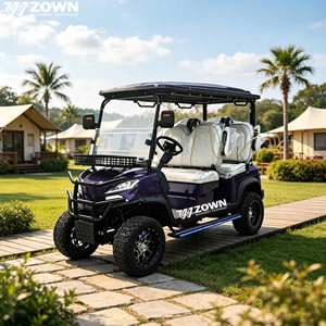 Carrito de golf eléctrico de alta calidad para Club Car, mini carritos de golf eléctricos al por mayor, carrito de golf premium para 4 pasajeros - Product Image 1