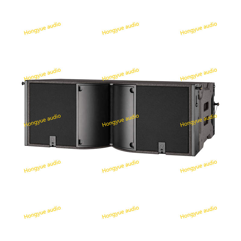 China Speaker Manufacturer Dual 10 Inch