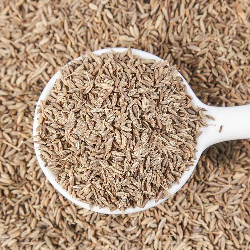 ZZH China's dry spice exports cumin seed of india at low price green cumin seeds