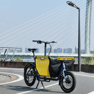 แบตเตอรี่ 15Ah 540wh จักรยานไฟฟ้าส่งของ 250w /จักรยานส่งอาหารไฟฟ้าขนาดเล็ก ESP3 มีสินค้าในคลังสินค้า EU ของเรา - Product Image 1