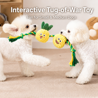 Jouet interactif pour chiot en peluche, durable, écologique, en forme de fruit de dessin animé, qui couine, pour le jeu de la bataille de la corde