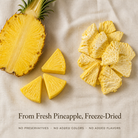 Groothandel Gedroogde Ananas Snacks Bulk Knapperig Zoetzuur FD Technologie OEM Fabriek Directe Export Leverancier