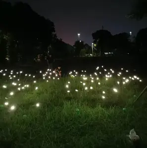 2023 olay dış aydınlatma projesi ev bahçe yard park dekorasyon ışıkları için firefly led