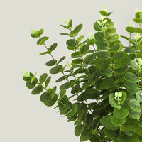 Feuilles d'eucalyptus artificielles de haute qualité, aspect réaliste, pour la décoration de mariage, de la maison, des fêtes et des tables