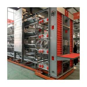 Attrezzatura automatica per gabbia di pollo H gabbia a 4 livelli per allevamento di polli 40,000 - Product Image 3