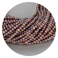 Collier de perles d'eau douce sans noyau, couleur bonbon, 3-4 mm, presque rondes, haute brillance, pour la fabrication de bijoux (DIY) - Vente en gros