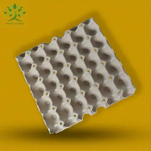 PTPACK热卖可生物降解回收鸡蛋托盘30个鸡蛋纸箱散装