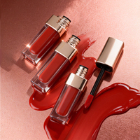 Gloss à lèvres mat velours à marque privée avec tube effet miroir, rouge à lèvres liquide haute pigmentation, gloss non-transfert, maquillage personnalisé