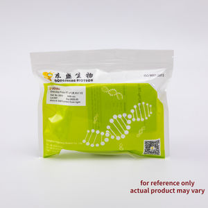 Mélange qPCR Pro Multiplex Probe - Mélange maître 2X avec dUTP/<span class=keywords><strong>UDG</strong></span> - Product Image 4