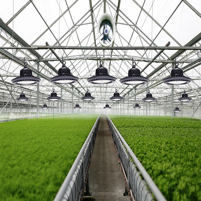 New Hydroponic Grow Light Full Spectrum ufo Pro Lamps 100w 200w 300w Cxb 3590 E27 Bulb Led Grow Light Indoor Growing System