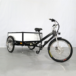 Triciclo Elettrico da Carico ESTER 500W Nuovo con Tettuccio Morbido Personalizzato, Bici Cargo Elettrica a 3 Ruote, Cassone in Alluminio Alleggerito - Product Image 5