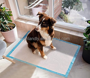 100 Piezas de Almohadillas de Entrenamiento Desechables para Cachorros, para Perros, Gatos, Conejos, Cobayas, Impermeables - Product Image 5