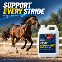 Complément liquide pour chevaux OEM ODM avec fer et vitamines B pour l'énergie, l'endurance et la récupération post-exercice des chevaux de course 5L