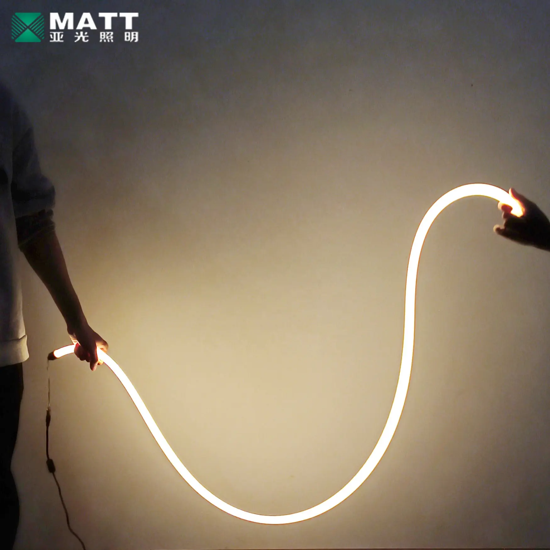 Matt Dropshipping factory outlet super bright 24V LED rope light for home decoration