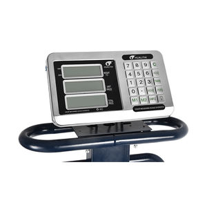 500kg <span class=keywords><strong>600kg</strong></span> 1000kg 1ton 저울 가격 플랫폼 저울 접이식 구조 - Product Image 4