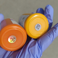 Pigment brillant jaune de 50 ml, 30 couleurs, pour gloss à lèvres et rouge à lèvres, solution de couleur liquide