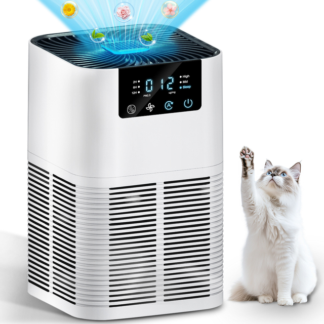 2026 Trend Home Desktop Portable Anion True H13 HEPA Air Cleaner Purifier With Aroma Diffuser and Air Quality Monitor