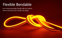 Bande lumineuse LED RGB 12V, 1 ou 2/3/4/5M, avec télécommande, lampe néon, éclairage décoratif, 1 ou 2 pièces, pour armoire, garde-robe